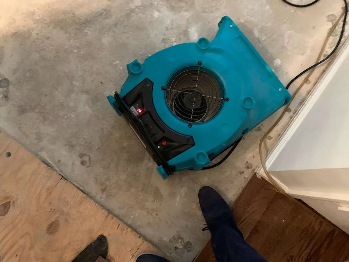 Air mover drying subfloor during Leak Detection & Repair in Punta Gorda
