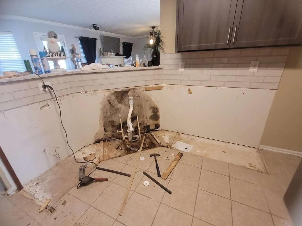 Mold behind wall with plumbing during Flood Damage Cleanup in Punta Gorda